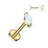 Gold PVD Plated MarquiseGlow Titanium Flat Back Stud