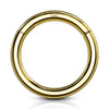 Seamless Hinged Clicker Piercing in 14K Yellow Gold