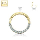 Motley™ Septum & Daith Hoop in 14K Gold - Septum. Navel Rings Australia.