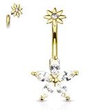 The Galatea Star Belly Bar with Gold Plating - Fixed (non-dangle) Belly Bar. Navel Rings Australia.