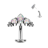 Alessi Titanium Threadless Floating Convex Base Belly Bar
