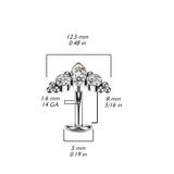 Alessi Titanium Threadless Floating Convex Base Belly Bar