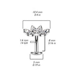Gold Plated Fan Top Titanium Threadless Floating Convex Base Belly Bar