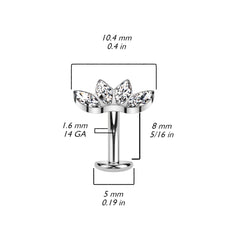 Fan Top Titanium Threadless Floating Convex Base Belly Bar