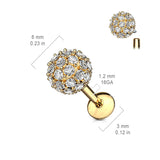 Motley™ Threaded Stud Body Jewellery. Earrings, Lips, Tragus and Cartilage.
