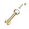 16g Gold Titanium Opal Earring. Tragus and Cartilage Jewellery.
