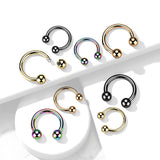Rose Titanium Circular Horseshoe Body Jewellery
