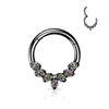 Jewelled Leaflet Clicker Body Jewellery with Black Titanium Plating