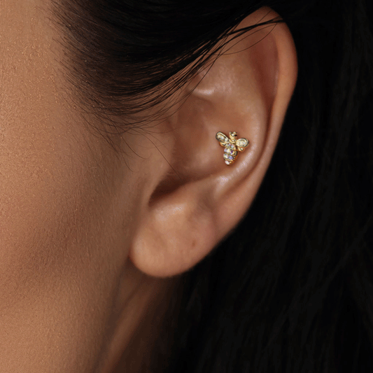 Busy Bee Body Jewellery with Gold Plating. Labret, Monroe, Tragus and Cartilage Earrings.
