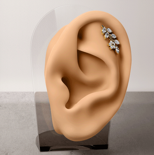 Wild Ixora Flower Body Jewellery with Gold Plating. Labret, Monroe, Tragus and Cartilage Earrings.