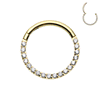 Crystal FRONT Paved Segment Clicker with Gold Plating