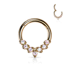 Jewelled Leaflet Clicker Body Jewellery with Rose Gold Plating