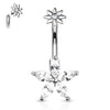 The Galatea Star Belly Bar